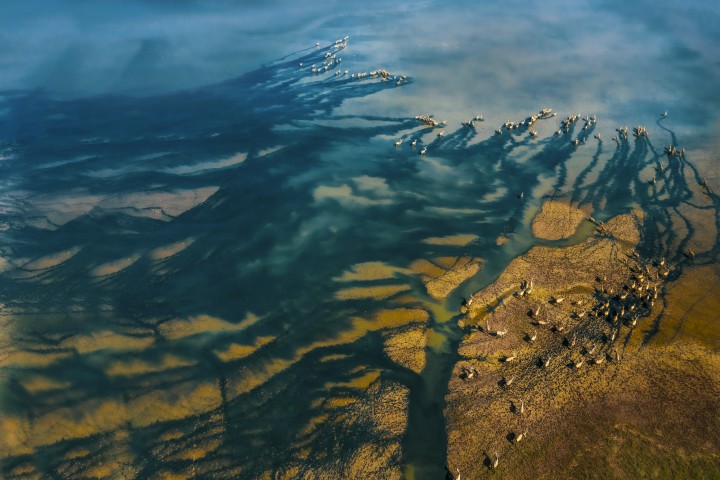 《绿色畅想》赵恒山13921805333 (2)(1).jpg